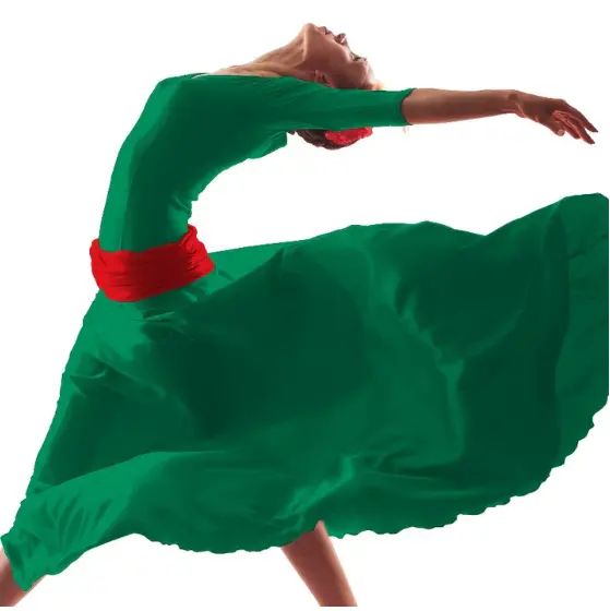 crep&eacute; vestido
